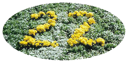Branch22Logo Branch22Logo