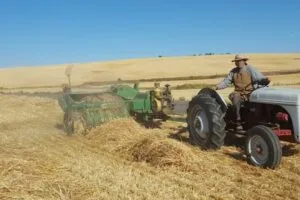 Arlin Colborg Picture2 Arlin Colborg Picture2