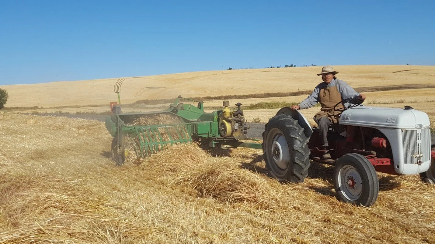 Arlin Colborg Picture2 Arlin Colborg Picture2